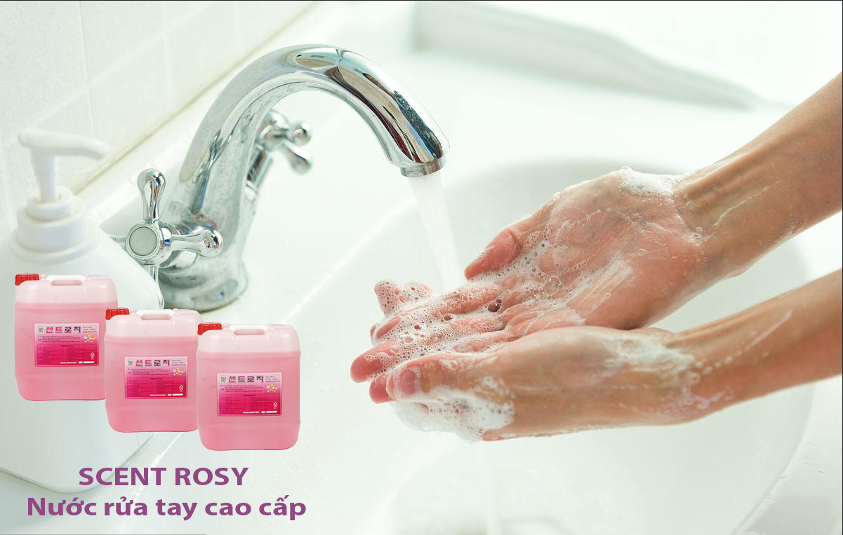 Scent Rosy Nước rửa tay cao cấp giúp làm sạch và giữ ẩm cho da tay, dễ dàng rửa sạch, thân thiện với môi trường, lưu lại hương thơm dịu nhẹ.