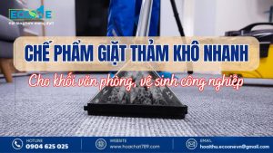 Gợi ý chế phẩm giặt thảm khô nhanh mùa mưa cho khối văn phòng, vệ sinh công nghiệp